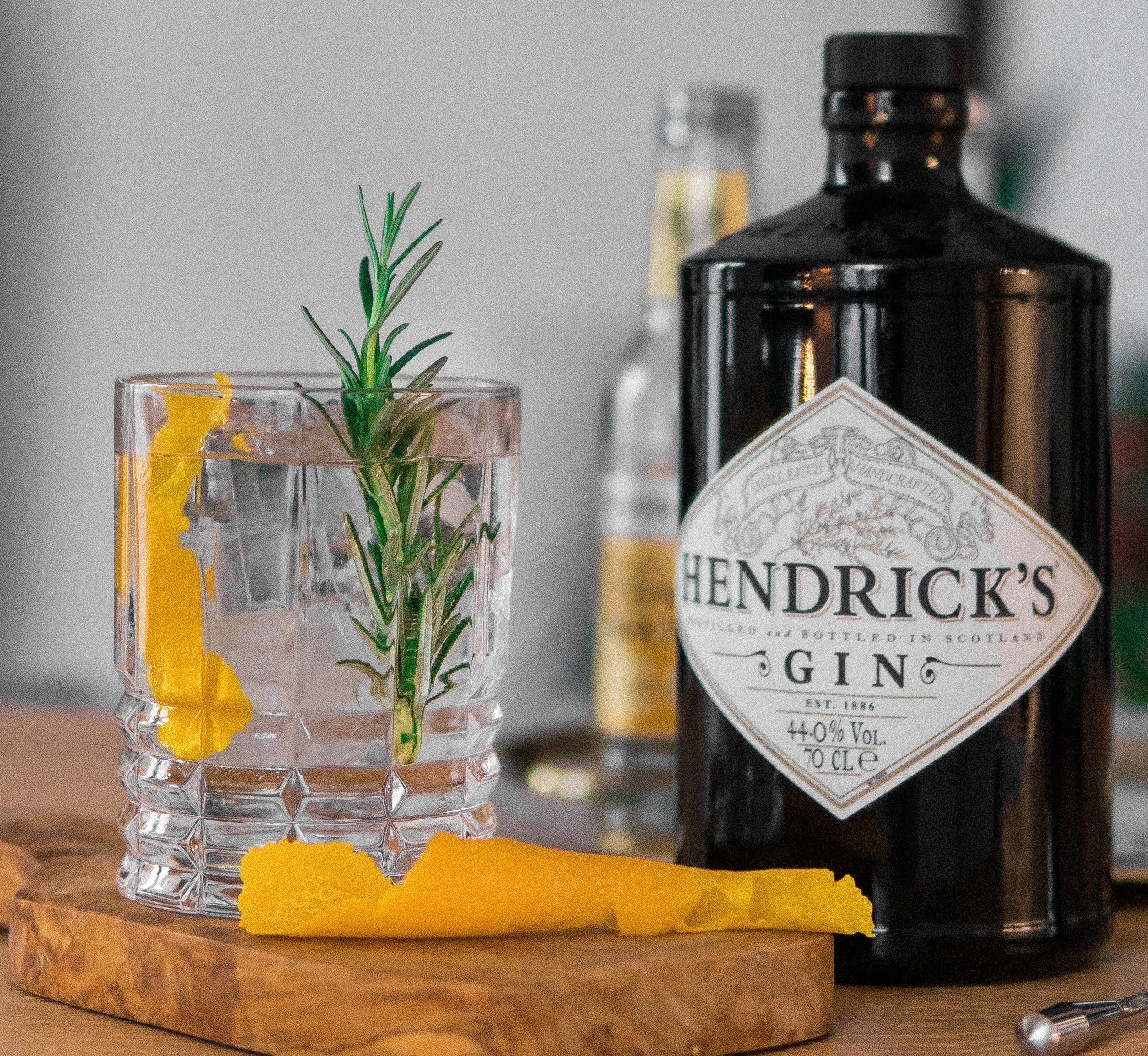 Welchen Gin solltest du wählen?