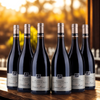 Bourgogne Hautes Cotes De Nuits Rotwein - Murat Stéphane Rotwein - 2022