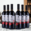 Puntalevante Montepulciano d’Abruzzo - 2024