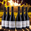 Parcelles Des Anges - Pinot Noir - 2023 - 12,5%