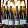 Romain Duvernay - Clos Des Mûres - Côtes du Rhône - Bio