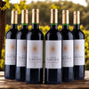 Cháteau Luccius - Lussac Saint-Émilion - 2021