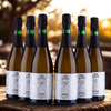 Unkonventioneller Schaumwein Weiß - 0% - Alkoholfrei