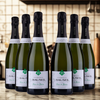 Champagner Bauser - Chardonnay