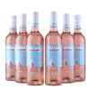 1 Karton