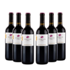 Primitivo Puglia IGT - 2023