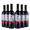 Puntalevante Montepulciano d’Abruzzo - 2024