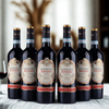 Ripasso Valpolicella D.O.C 2022