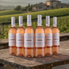 Chaval - Rosé - DOC Rioja Alta - 2024