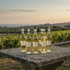 Pipoli - Bianco Basilicata - 2025 - 12,5%
